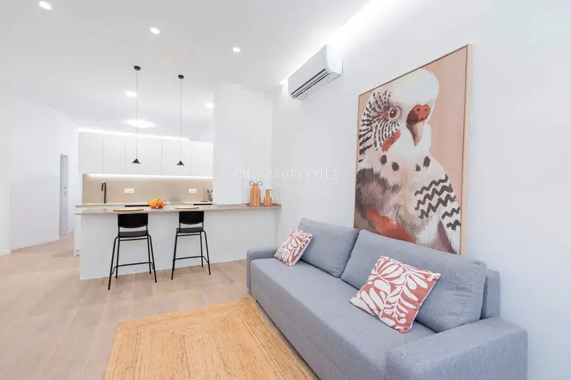 Alquiler Piso 1 Dormitorio Ciutat Vella Valencia