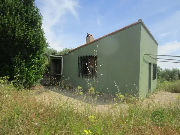 Casa de Campo en Mogente 12000m2