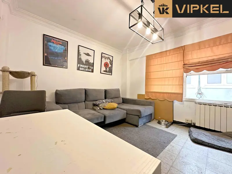 Venta Piso Ciudad Jardin Riazor A Coruña