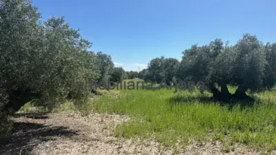 Finca Rustica en Venta Las Navas del Selpillar