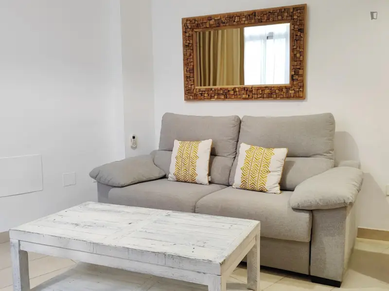 Apartamento Centro Malaga con Jacuzzi y Terraza