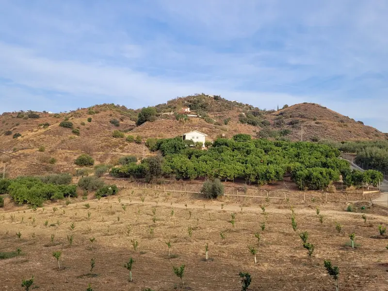 Terreno con 10 Hectareas y Arboles Frutales en Guaró