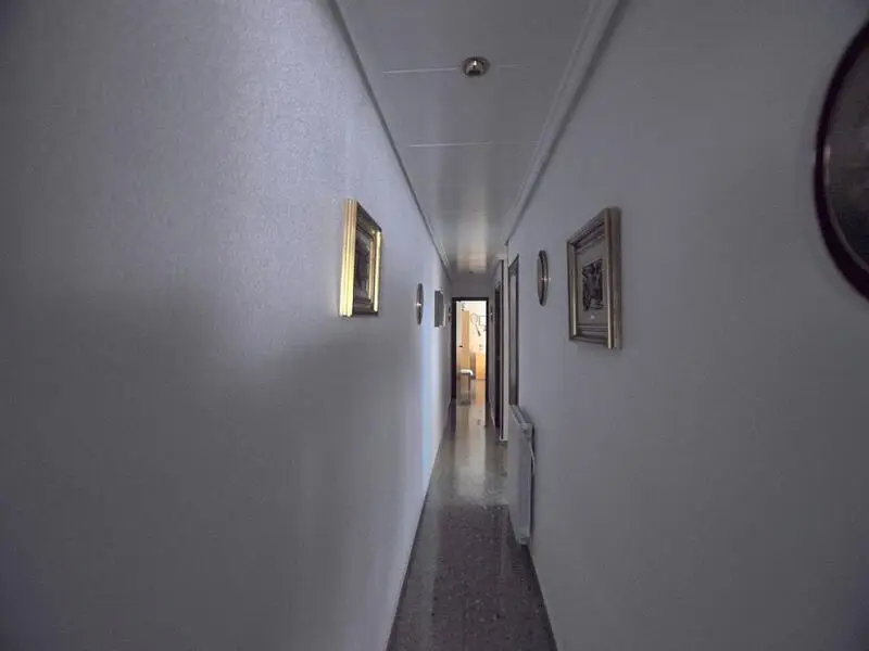 Apartamento 5 Dormitorios Sax Centro