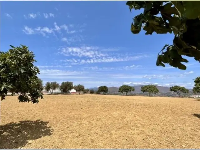 Venta Granja Rustica 28131m2 Mijas Zoologico Ganaderia