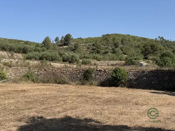 Finca Rustica 12 Hectareas Pobla Montornes Tarragona