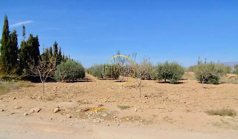 Casa en venta en La Pinilla, Fuente Alamo de Murcia, Murcia