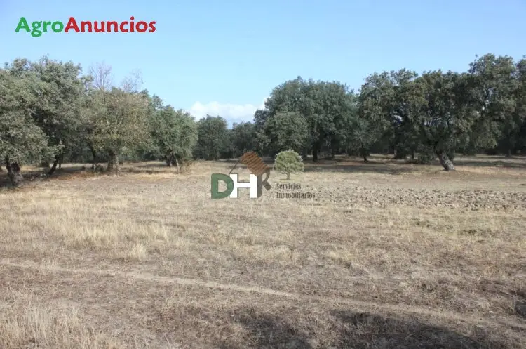 Venta  de Finca ganadera en Cáceres