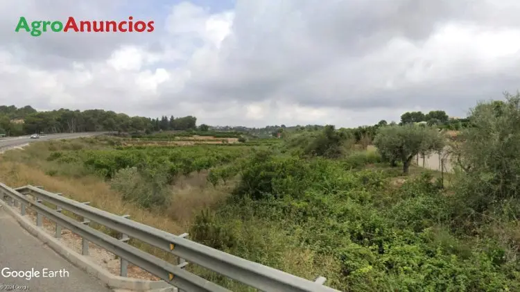 Venta  de Finca rústica de regadío en Valencia