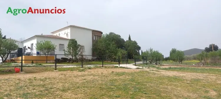 Venta  de Finca de recreo en Málaga