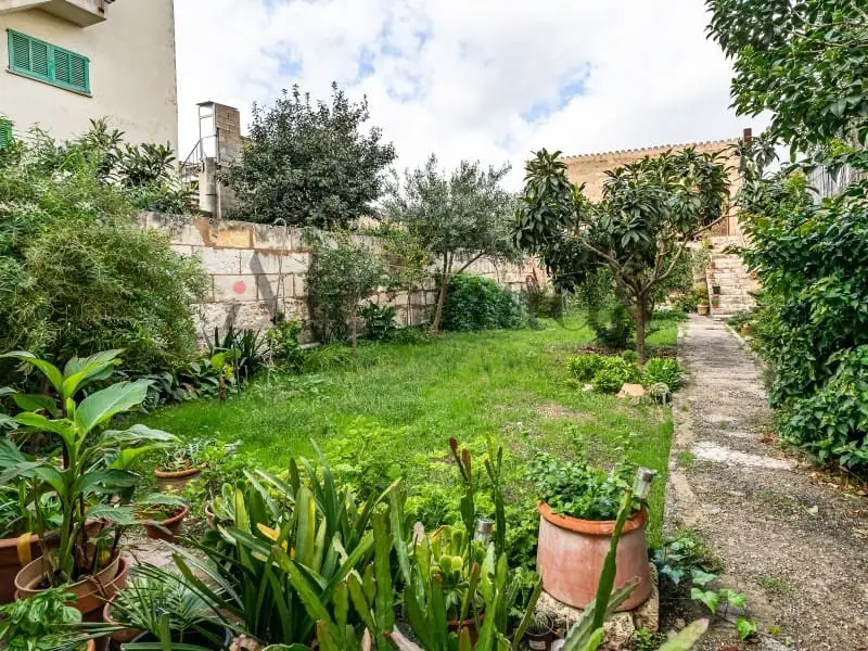 Casa en Sa Pobla Mallorca con Vistas Panoramicas