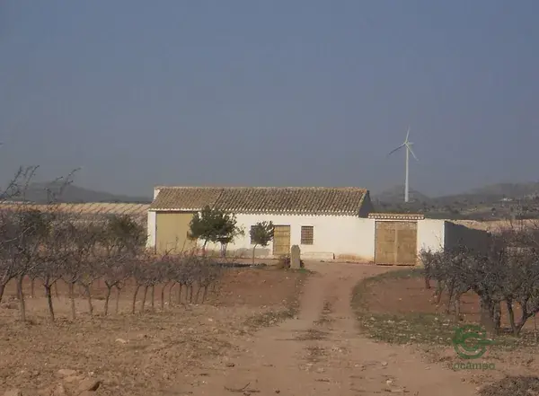 Finca Rustica Jumilla Almendros Alta Rentabilidad