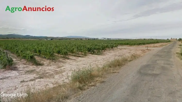 Venta  de Finca de regadío en La Rioja