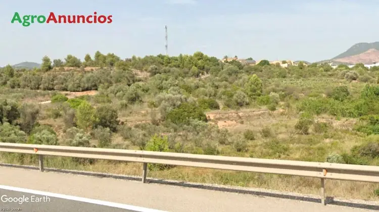 Venta  de Finca de suelo urbanizable industrial en Castellón