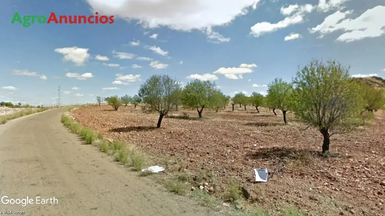 Venta  de Terreno de actividad agraria en Ciudad Real