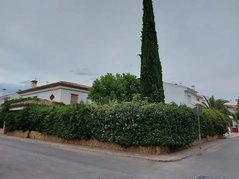 Venta Chalet Amueblado Huéscar 380m2 Jardin Piscina