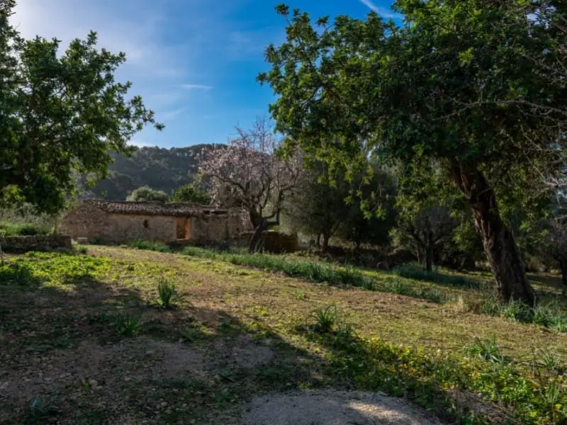 Finca/Casa Rural en venta en Alaró, Mallorca