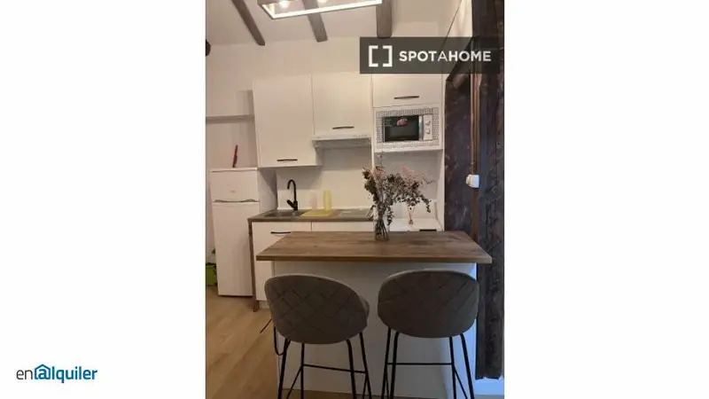 Estudio amueblado en Malasa	ña Madrid