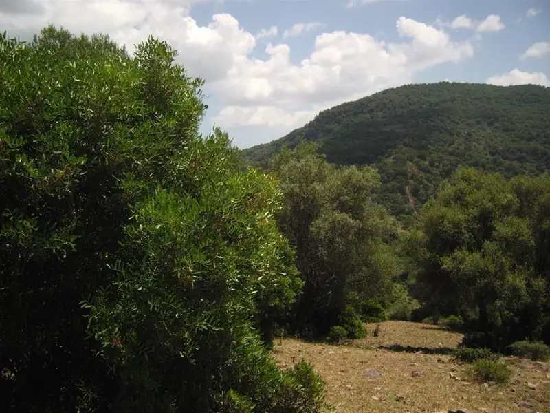 Terreno en Venta Estacion de Gaucin 300000m2 Vistas Panoramicas