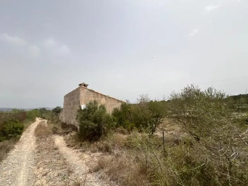 venta Terreno en Muro, Balears (Illes) (XIH-SM132.667)- Globaliza