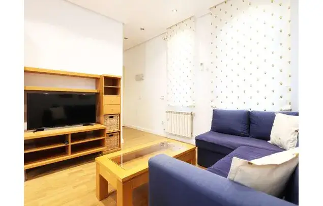 Rent 2 bedroom apartment of 50 m² in Madrid