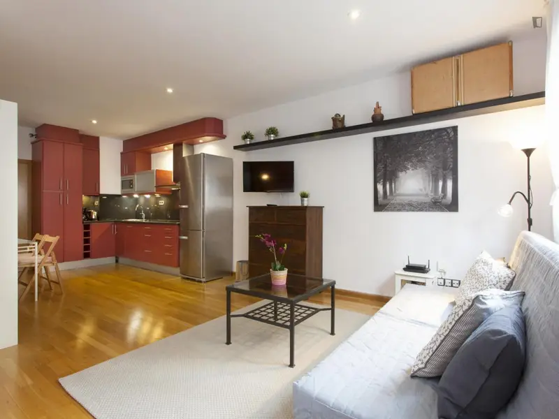 Apartamento 1 Dormitorio Estancias Temporales Barcelona