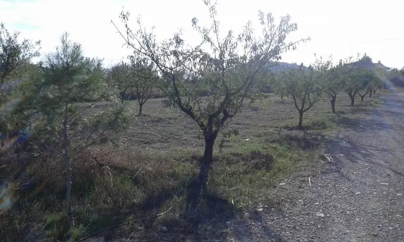 Venta Parcelas Urbanas Ricote