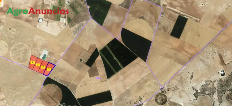 Venta Finca Pistachos Ecologicos Albacete 47ha 8 Pozos