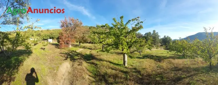 Venta  de Finca rústica con árboles frutales en Cáceres