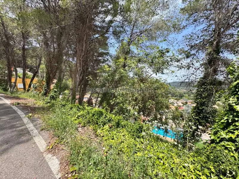 Parcela Rustica en Venta en Carcaixent