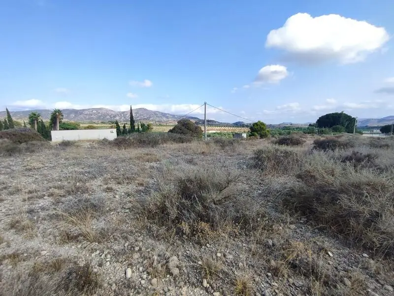 Terreno Edificable en Sax Alicante 15309m2