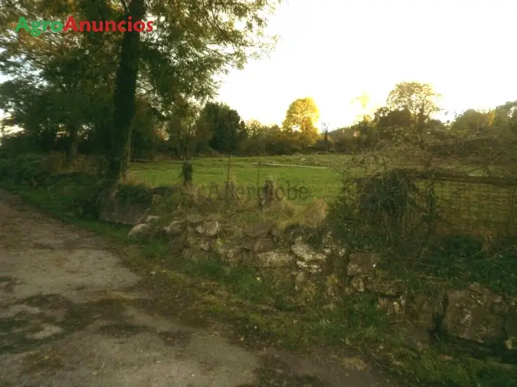 Venta  de Finca edificable cerca de oviedo en Asturias