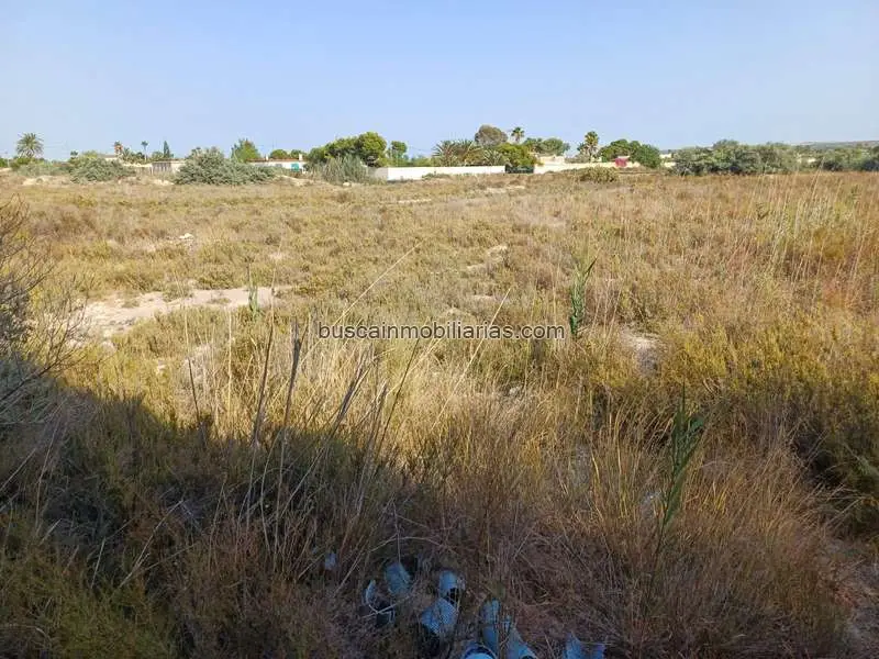 Parcela Rustica en Venta Elche La Hoya 17000m2