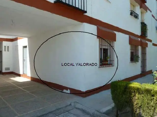 Local en Venta en Lucena con Piscina