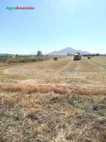 Venta  de Finca de recreo en Granada