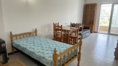 Estudio en Alquiler Burgo de Rapitan Cerca de Jaca Pirineo Oscense