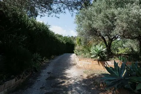 Casa Rustica con Parcela para Cultivo Malaga