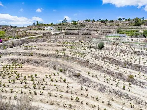 Terreno en Venta Moraira - Viñedo con Vistas