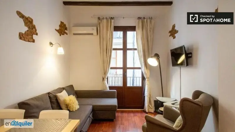 Apartamento con Encanto en El Raval Centro de Barcelona