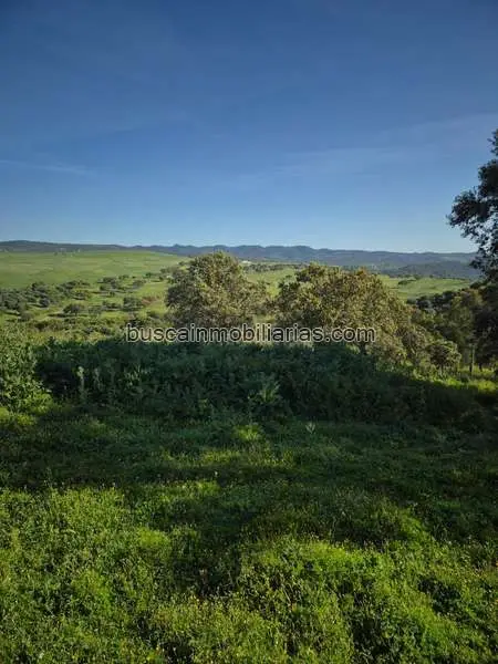 Parcela Rustica en Venta Almodovar del Rio