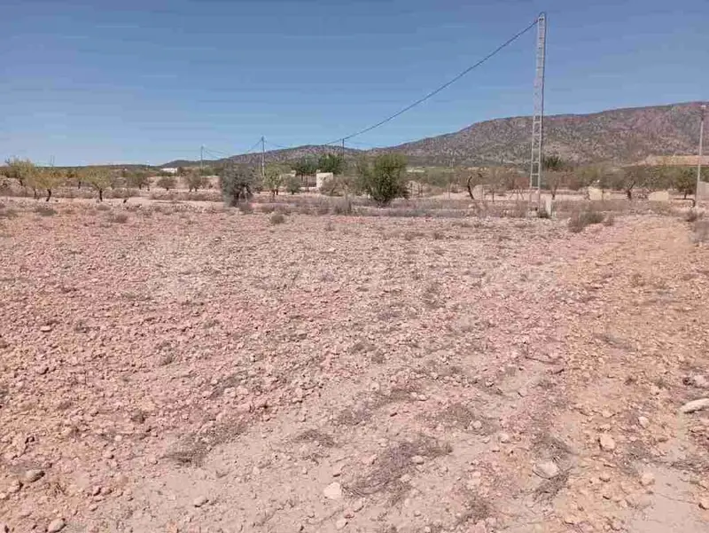 Venta Suelo Edificable Pinoso 10000m2 Vistas Espectaculares