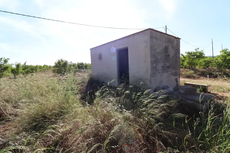 Finca Rustica en Venta Alcanar Tarragona