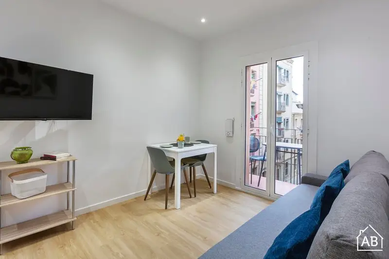 Apartamento 1 Dormitorio 2 Balcones Barceloneta Playa