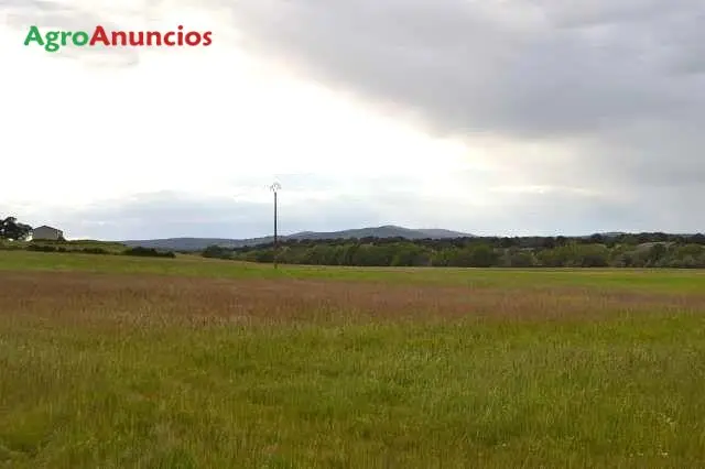 Venta  de Finca ganadera con cortijos y naves en Cáceres