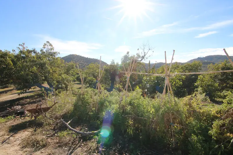 Terreno con Finca en Coin Espa			
A