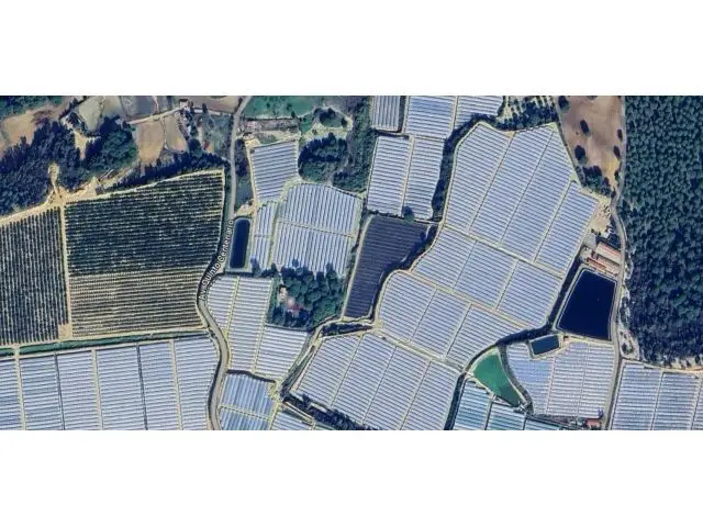 Venta Terreno Agrario Moguer Huelva Oportunidad Inversores