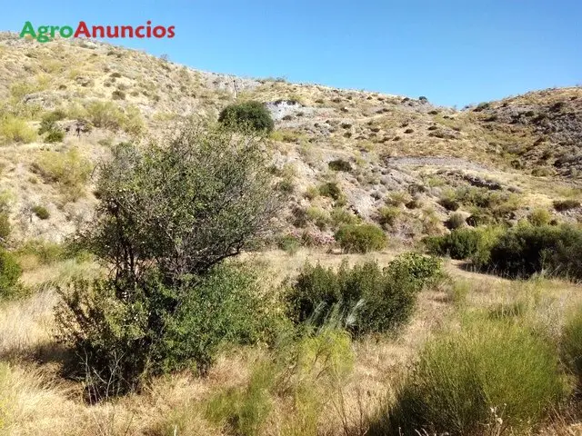 Venta  de Terreno forestal en Almería