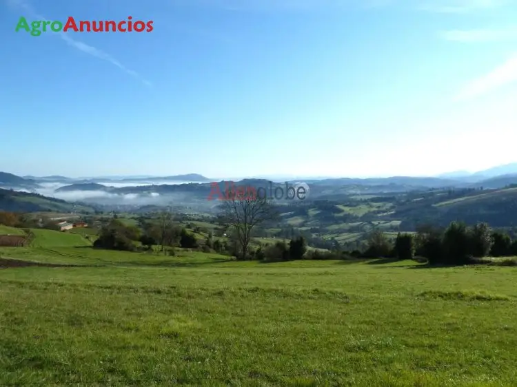 Venta  de Terreno soleado con hórreo en Asturias