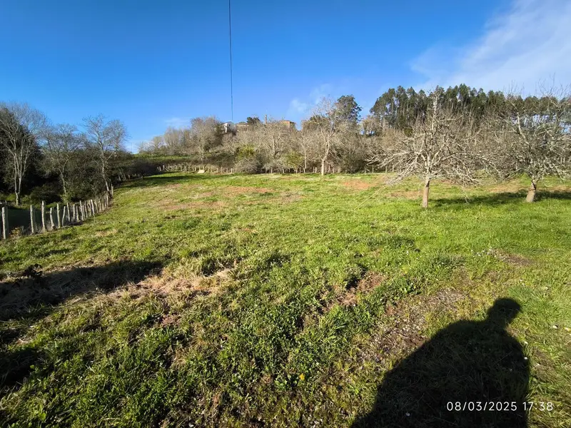 Venta Terrenos Lugas Villaviciosa Asturias