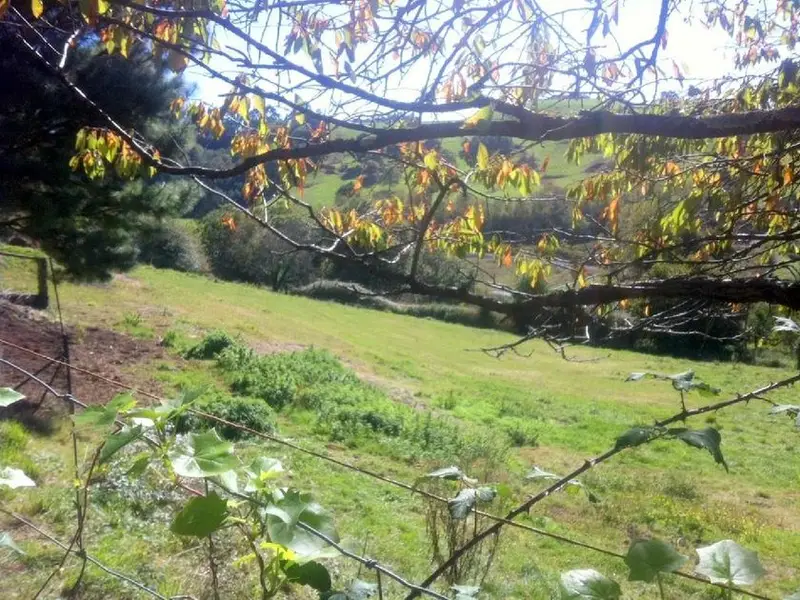 venta Terreno en Peral, La (Pola de Siero), Asturias (6907/959)- Globaliza