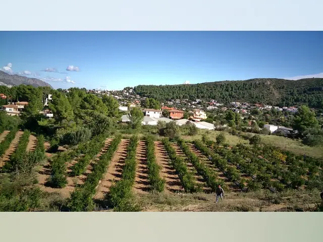 Terreno en Venta Orba Espa
A